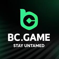 A Comprehensive Guide to the BC.Game Platform
