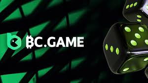 BC.Game Casino India A Comprehensive Guide to Online Gaming