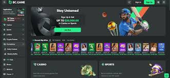 Comprehensive Guide to BC.Game Casino Payment Methods 1011499113