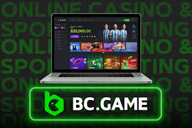 Comprehensive Guide to BC.Game Casino Payment Methods 1011499113