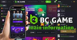 Comprehensive Guide to BC.Game Registration Process Comprehensive Guide to BC.Game Registration Process