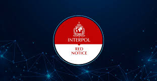 Understanding the Role of Interpol Defense Lawyers 1343754270