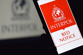 Understanding the Role of Interpol Defense Lawyers 1343754270
