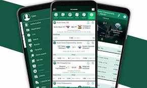 BetWinner in Cameroon Your Comprehensive Guide to Online Betting