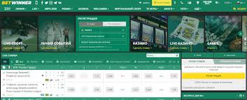 BetWinner Sportsbook A Comprehensive Guide to Online Betting
