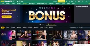 Comprehensive BetWinner Review Features, Bonuses, and User Experience