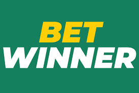 Exploring BetWinner Casino A Comprehensive Guide to Online Gaming